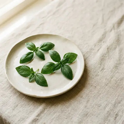 Basil