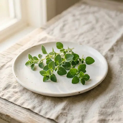 Oregano