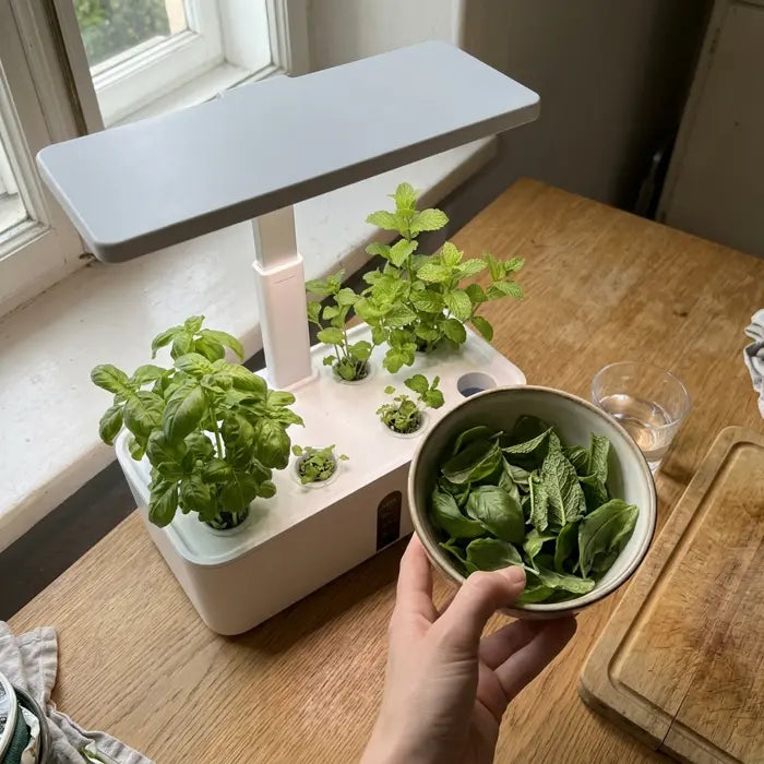 Foto von Sophie Berger